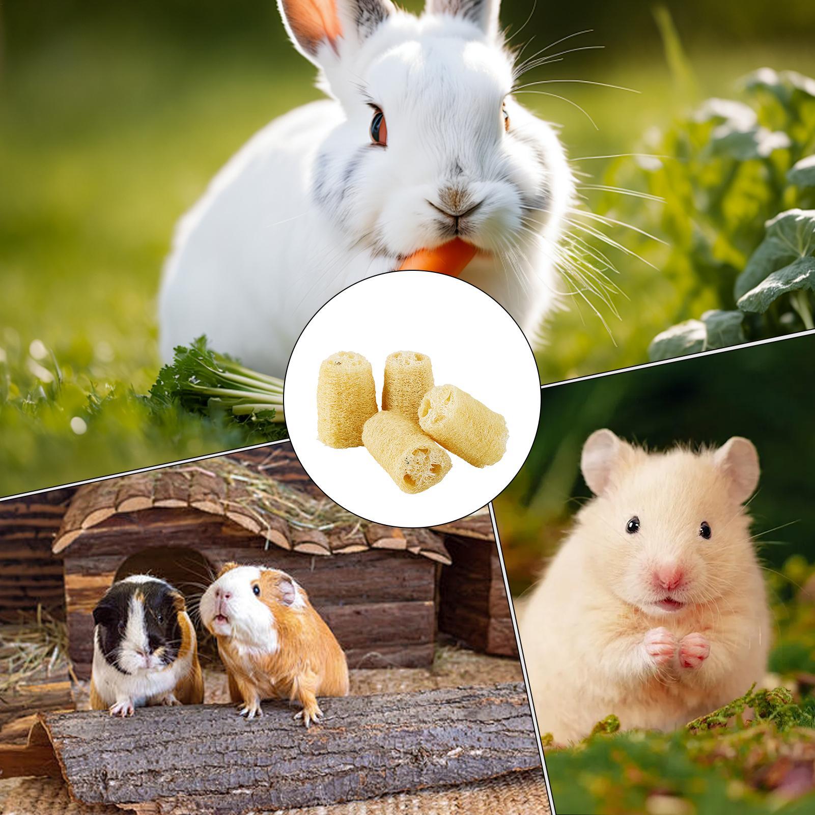 Pet Supplies Pet Shop - Kauwspeelgoed voor konijntjes 4-delig Loofah Chinchilla