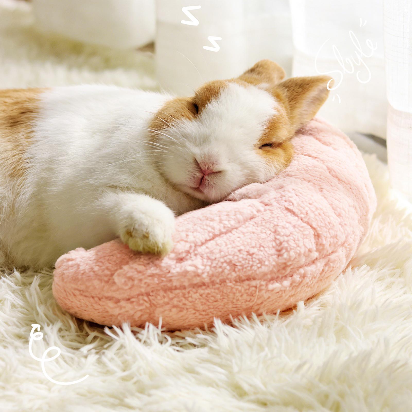 Pet Supplies App - Pet Little Pillow Fashion Nekbeschermer Diepe