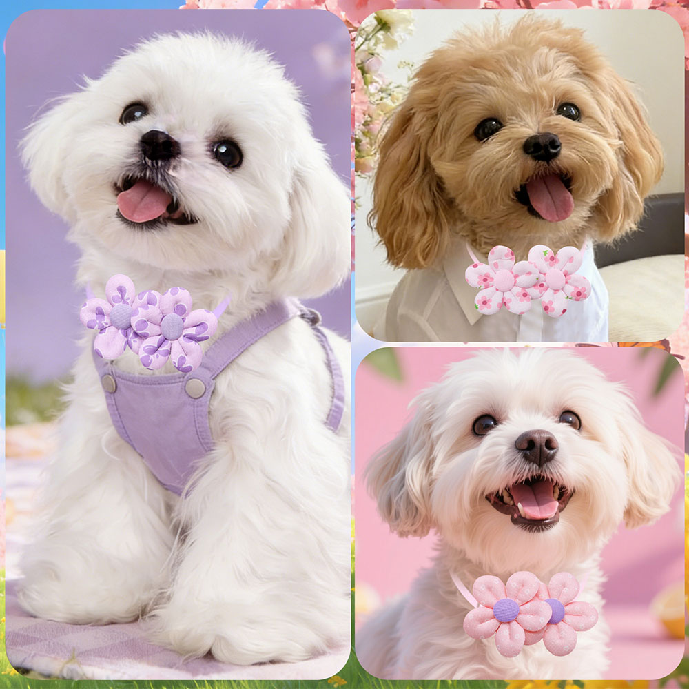 10PCS Bloemvorm Zoete Hond Str - Pet Supplies Coupon recensie en prijs
