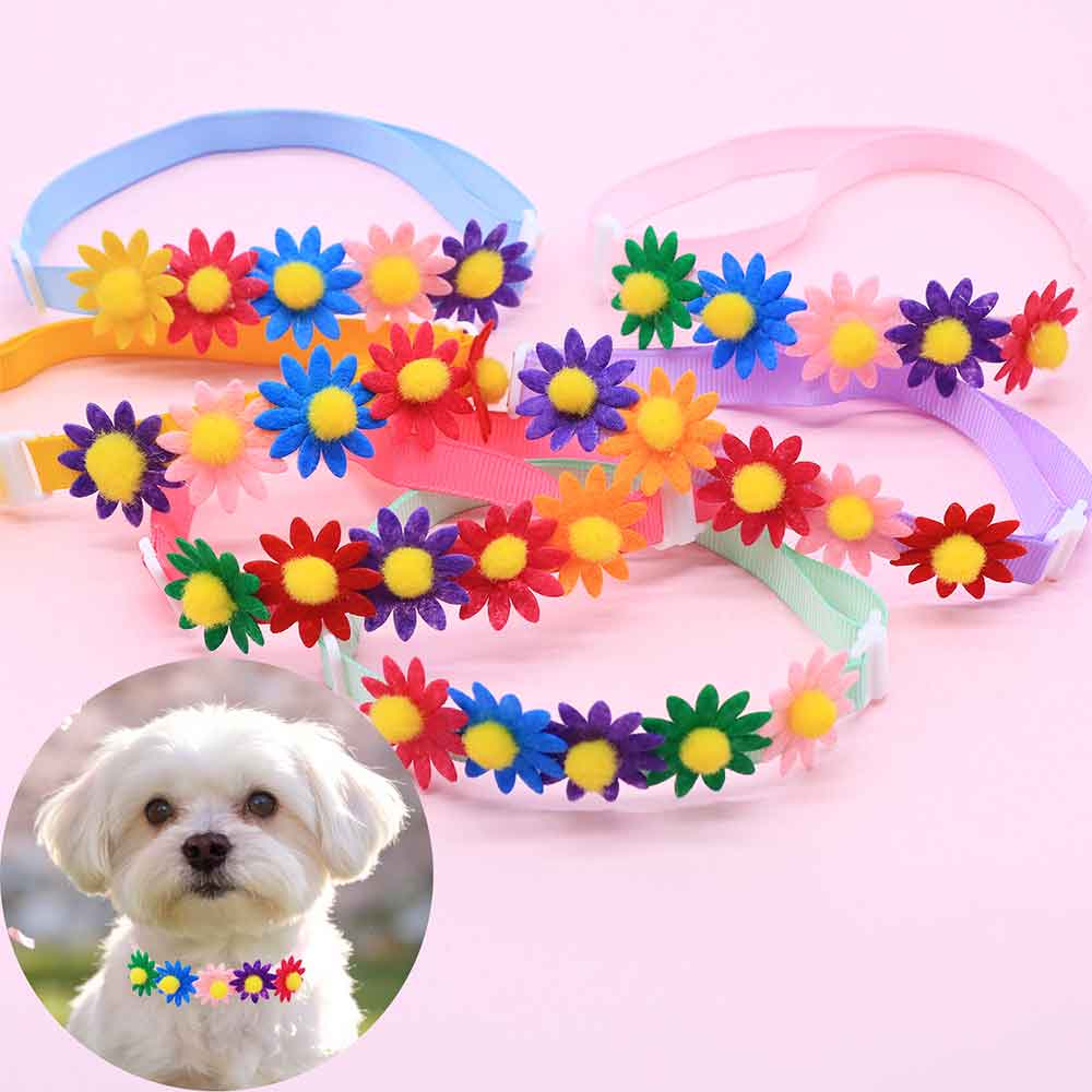 50 STKS Kleurrijke Hond Strikj - Pet Supplies Coupon recensie en prijs