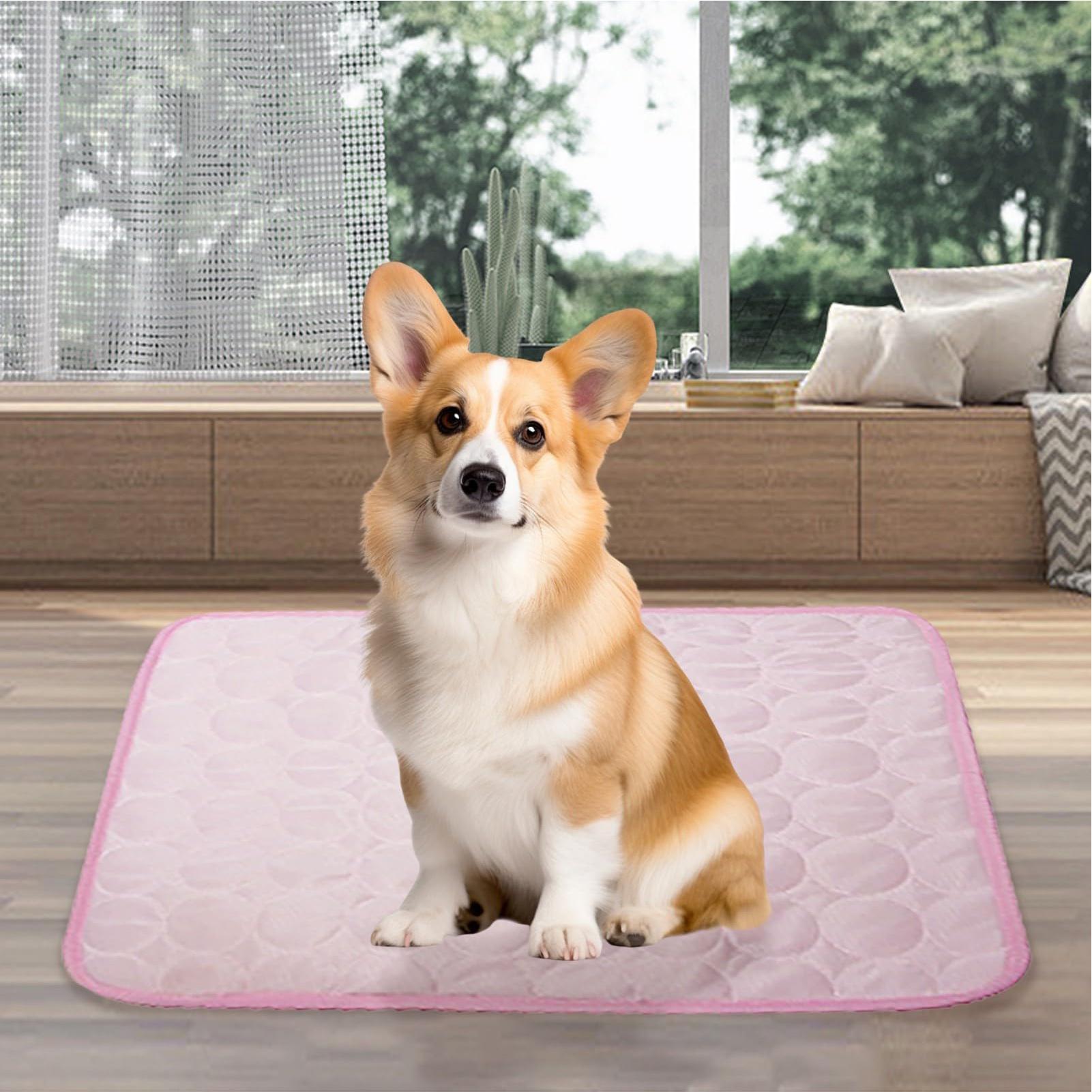 Zomerkoelmat voor huisdieren,  - Pet Supplies Self Wash recensie en prijs