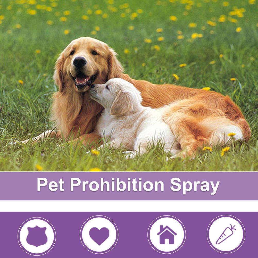 Kalmerende spray voor huisdier - Pet Supplies App recensie en prijs