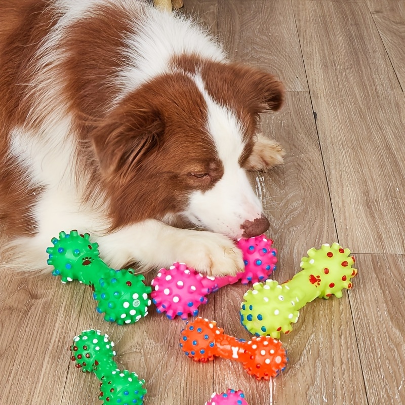 Hondenspeelgoed voor grote hon - Pet Supplies Pet Shop recensie en prijs