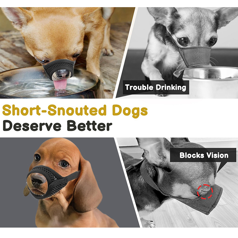Mesh-mondkapje voor korte snui - Pet Supplies Coupon recensie en prijs