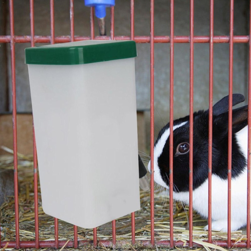 Huisdier Drinker Waterfles Dis - Pet Supplies App recensie en prijs
