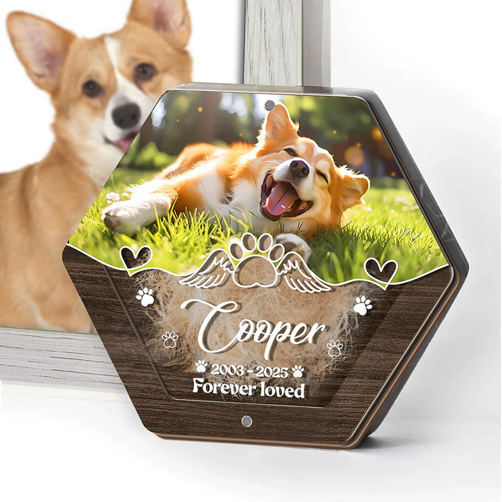 Gepersonaliseerde Naam Houten  - Pet Supplies App recensie en prijs