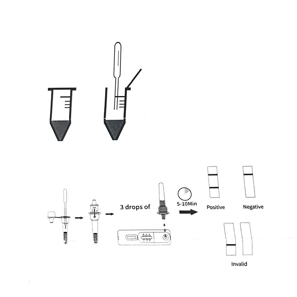 1Set/5Set Professionele Hond Z - Pet Supplies App recensie en prijs