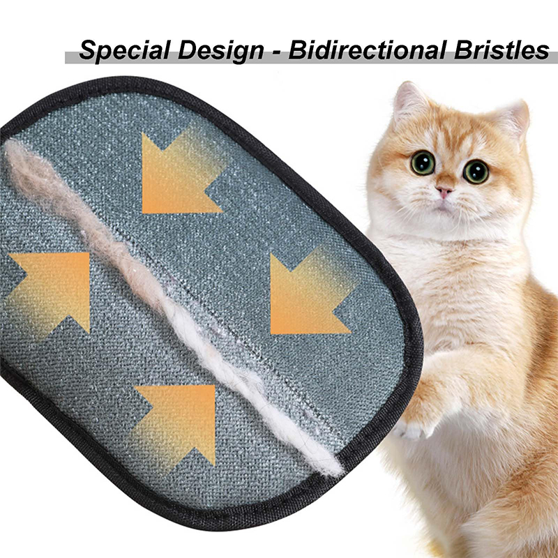 Nieuwe elektrostatische verzor - Pet Supplies App recensie en prijs