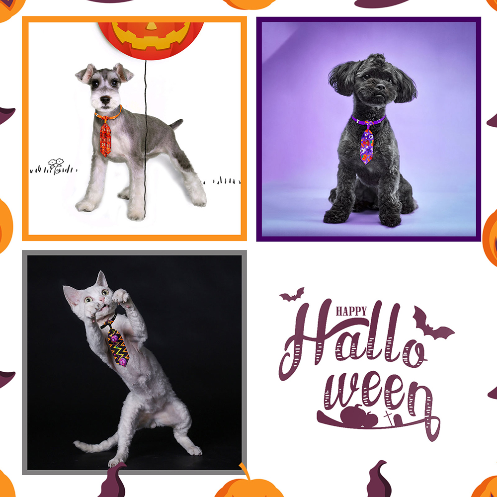 50/100 Stuks Halloween Hond Ve - Pet Supplies Coupon recensie en prijs