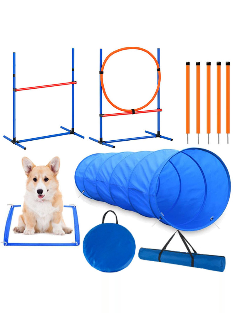 Hondenobstacle training wedstr - Pet Supplies For Dogs recensie en prijs