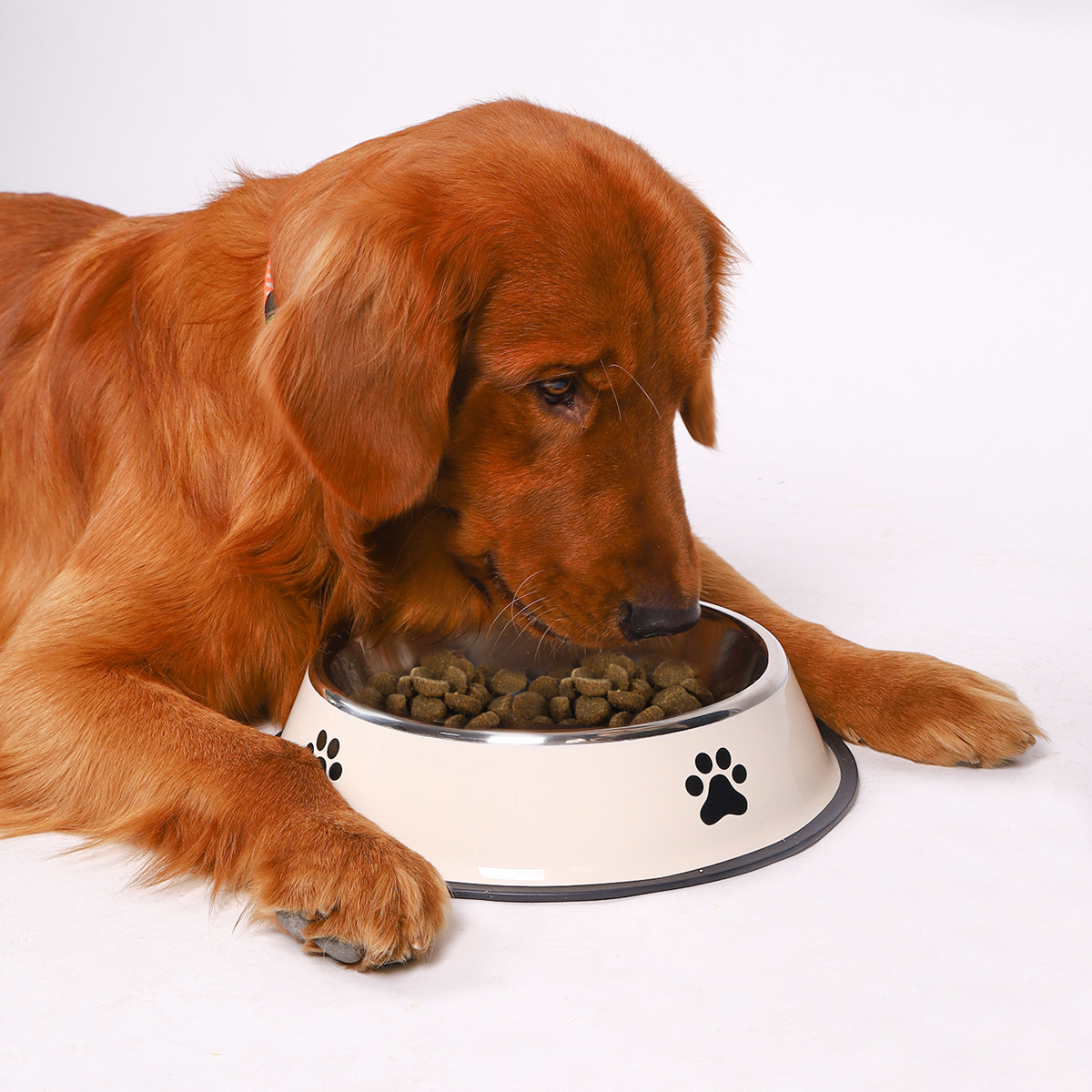 Roestvrijstalen voerbak voor h - Pet Supplies Coupon recensie en prijs
