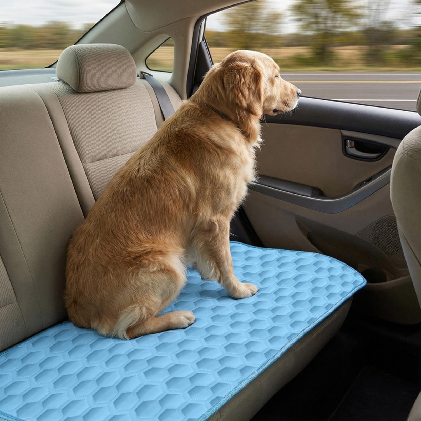 Zomerkoelmat voor huisdieren,  - Pet Supplies Self Wash recensie en prijs